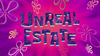 Unreal Estate title card.png