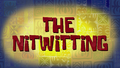 The Nitwitting title card.png