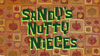 Sandy's Nutty Nieces title card.png