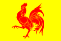 Flag of Wallonia.png
