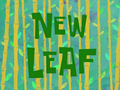 New Leaf title card.png