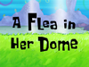 A Flea in Her Dome title card.png