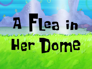 A Flea in Her Dome title card.png