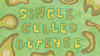 Single-Celled Defense title card.png