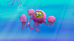 The Jelly Life main image.png