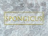 Spongicus title card.png