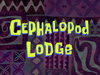 Cephalopod Lodge title card.png