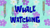 Whale Watching title card.png