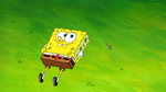 Sheldon SquarePants main image.png